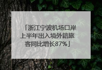 浙江宁波机场口岸上半年出入境外籍旅客同比增长87%