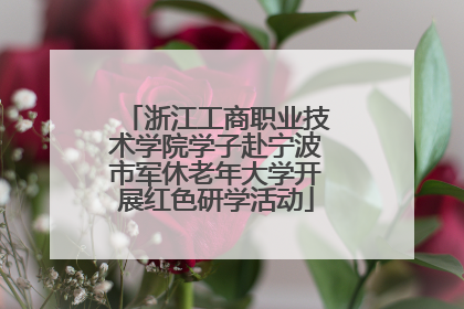 浙江工商职业技术学院学子赴宁波市军休老年大学开展红色研学活动