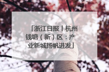 浙江日报丨杭州钱塘（新）区：产业新城扬帆进发