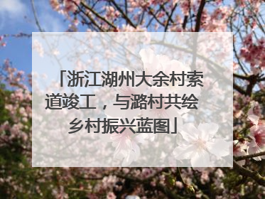 浙江湖州大余村索道竣工，与潞村共绘乡村振兴蓝图