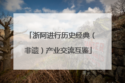 浙阿进行历史经典（非遗）产业交流互鉴