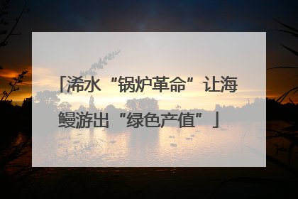 浠水“锅炉革命”让海鳗游出“绿色产值”