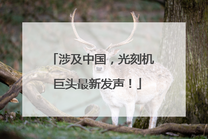 涉及中国，光刻机巨头最新发声！