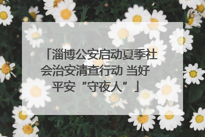 淄博公安启动夏季社会治安清查行动 当好平安“守夜人”