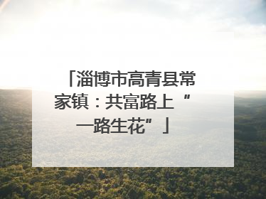 淄博市高青县常家镇：共富路上“一路生花”