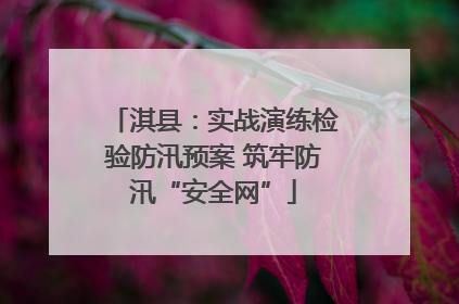 淇县：实战演练检验防汛预案 筑牢防汛“安全网”