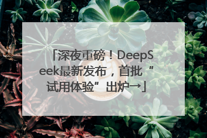 深夜重磅！DeepSeek最新发布，首批“试用体验”出炉→