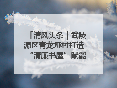 清风头条｜武陵源区青龙垭村打造“清廉书屋”赋能乡村振兴新风尚