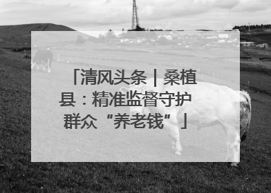 清风头条｜桑植县：精准监督守护群众“养老钱”