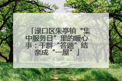 渌口区朱亭镇“集中服务日”里的暖心事：干群“答题”结亲成“一屋”