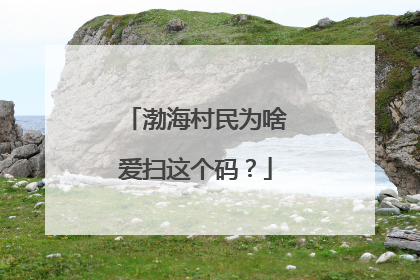 渤海村民为啥爱扫这个码？