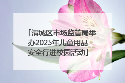 渭城区市场监管局举办2025年儿童用品安全行进校园活动