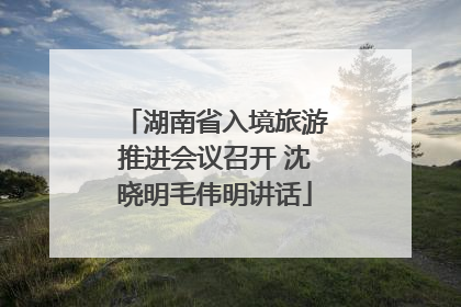 湖南省入境旅游推进会议召开 沈晓明毛伟明讲话