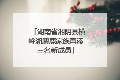 湖南省湘阴县横岭湖麋鹿家族再添三名新成员