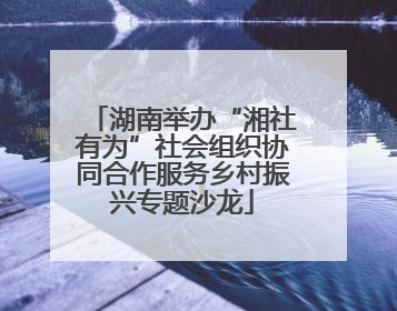 湖南举办“湘社有为”社会组织协同合作服务乡村振兴专题沙龙