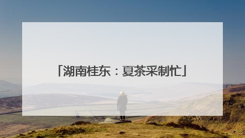 湖南桂东：夏茶采制忙