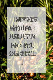 湖南湘潭楠竹山镇：共建共享聚民心 桥头公园惠民生