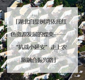 湖北白果树湾依托红色资源发展的蝶变——“抗战小延安”走上农旅融合振兴路