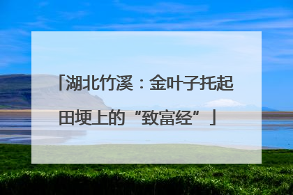 湖北竹溪：金叶子托起田埂上的“致富经”