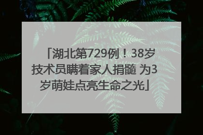 湖北第729例！38岁技术员瞒着家人捐髓 为3岁萌娃点亮生命之光