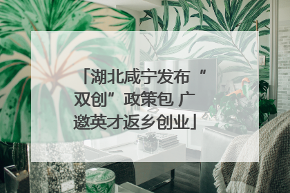 湖北咸宁发布“双创”政策包 广邀英才返乡创业