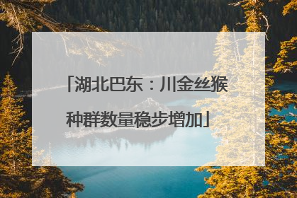 湖北巴东：川金丝猴种群数量稳步增加