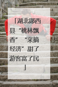 湖北郧西县“桃林飘香”“采摘经济”甜了游客富了民