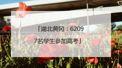 湖北黄冈：62097名学生参加高考