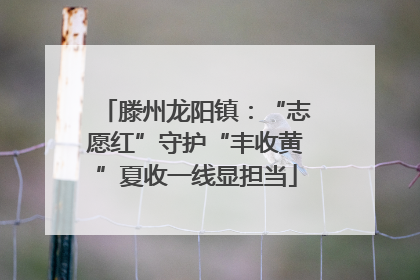 滕州龙阳镇：“志愿红”守护“丰收黄”夏收一线显担当