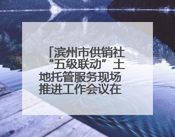 滨州市供销社“五级联动”土地托管服务现场推进工作会议在无棣县举办
