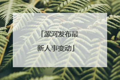 漯河发布最新人事变动