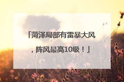 菏泽局部有雷暴大风，阵风最高10级！