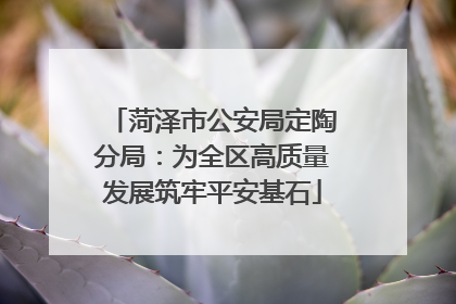 菏泽市公安局定陶分局：为全区高质量发展筑牢平安基石