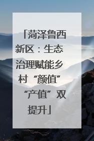 菏泽鲁西新区：生态治理赋能乡村“颜值”“产值”双提升