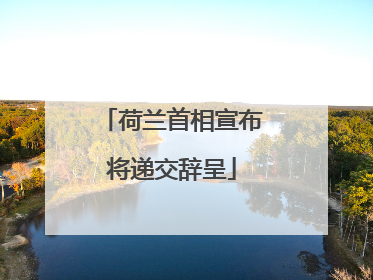 荷兰首相宣布将递交辞呈