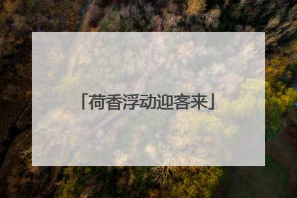 荷香浮动迎客来