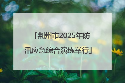 荆州市2025年防汛应急综合演练举行