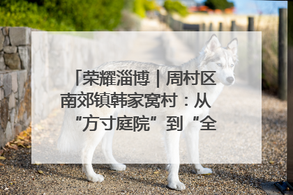 荣耀淄博｜周村区南郊镇韩家窝村：从“方寸庭院”到“全域文明”，乡村振兴的“美学革命”