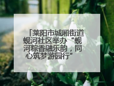 莱阳市城厢街道蚬河社区举办“蚬河粽香融乐韵，同心筑梦游园行” 主题游园会