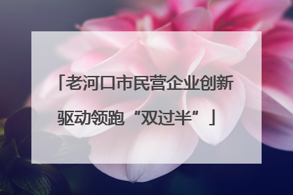 老河口市民营企业创新驱动领跑“双过半”