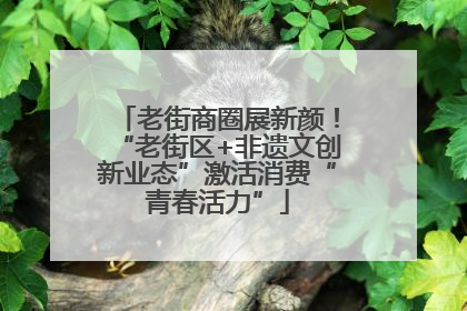 老街商圈展新颜！“老街区+非遗文创新业态”激活消费“青春活力”