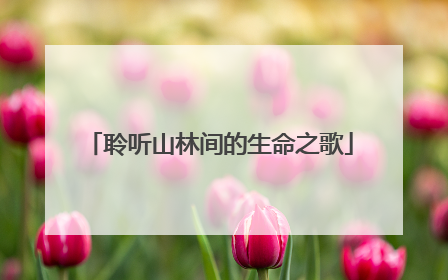聆听山林间的生命之歌