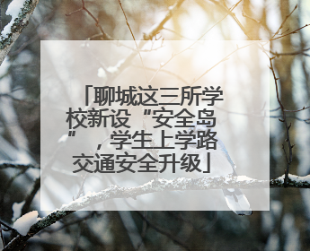 聊城这三所学校新设“安全岛”，学生上学路交通安全升级