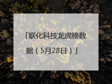 联化科技龙虎榜数据（5月28日）