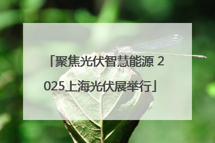 聚焦光伏智慧能源 2025上海光伏展举行