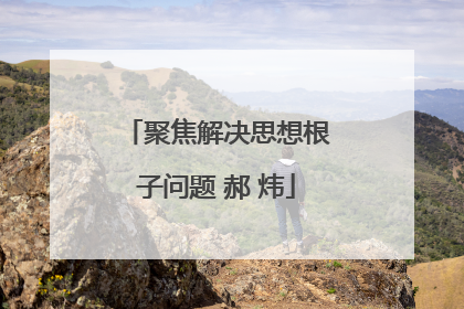 聚焦解决思想根子问题 郝 炜