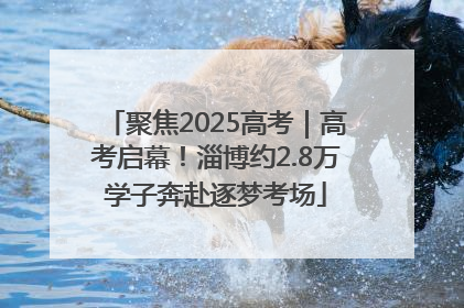 聚焦2025高考｜高考启幕！淄博约2.8万学子奔赴逐梦考场
