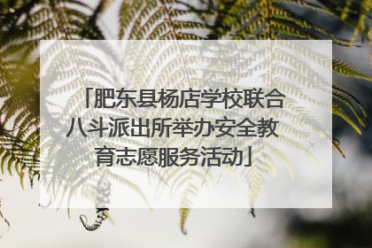 肥东县杨店学校联合八斗派出所举办安全教育志愿服务活动