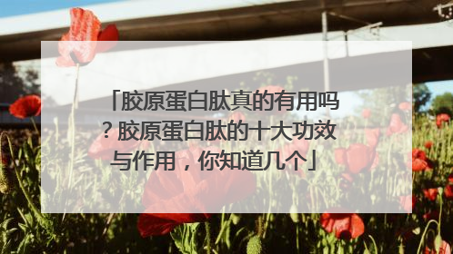 胶原蛋白肽真的有用吗？胶原蛋白肽的十大功效与作用，你知道几个