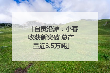 自贡沿滩：小春收获新突破 总产量近3.5万吨